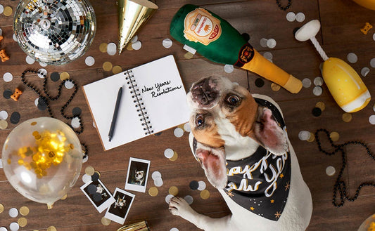 10 Pet-Positive New Years Resolutions