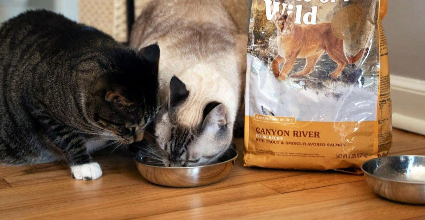 Two cats eating from a bowl with a 'Taste of the Wild' Canyon River bag in the background.
