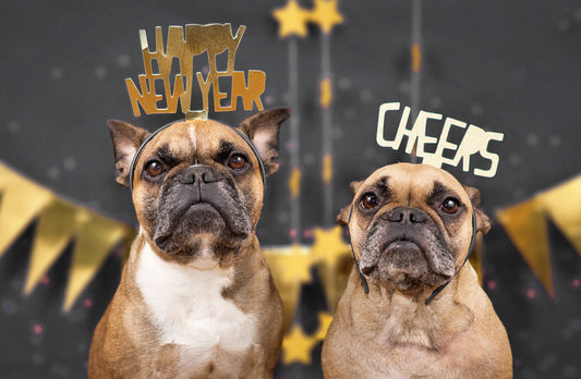 10 Pet Positive New Years Resolutions