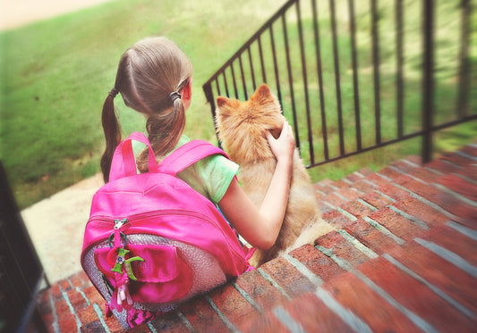 Helping Your Pet Through Back to School