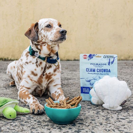 POLKA DOG BAKERY